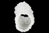 Long Apophyllite Crystal Tube - India #168761-5